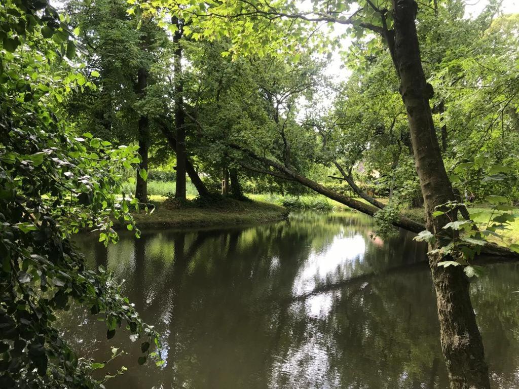Stinzenflora